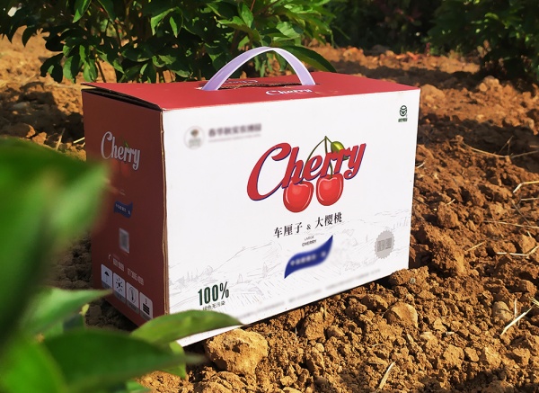 櫻桃、車(chē)厘子禮盒